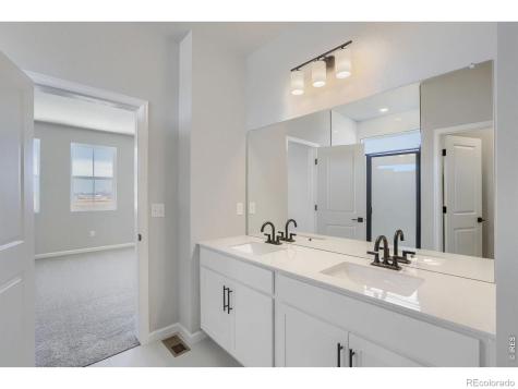 678 Noola Street Windsor CO 80550