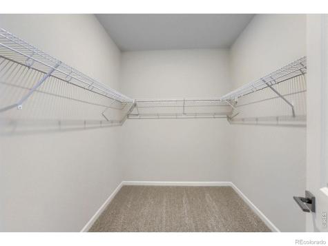 678 Noola Street Windsor CO 80550