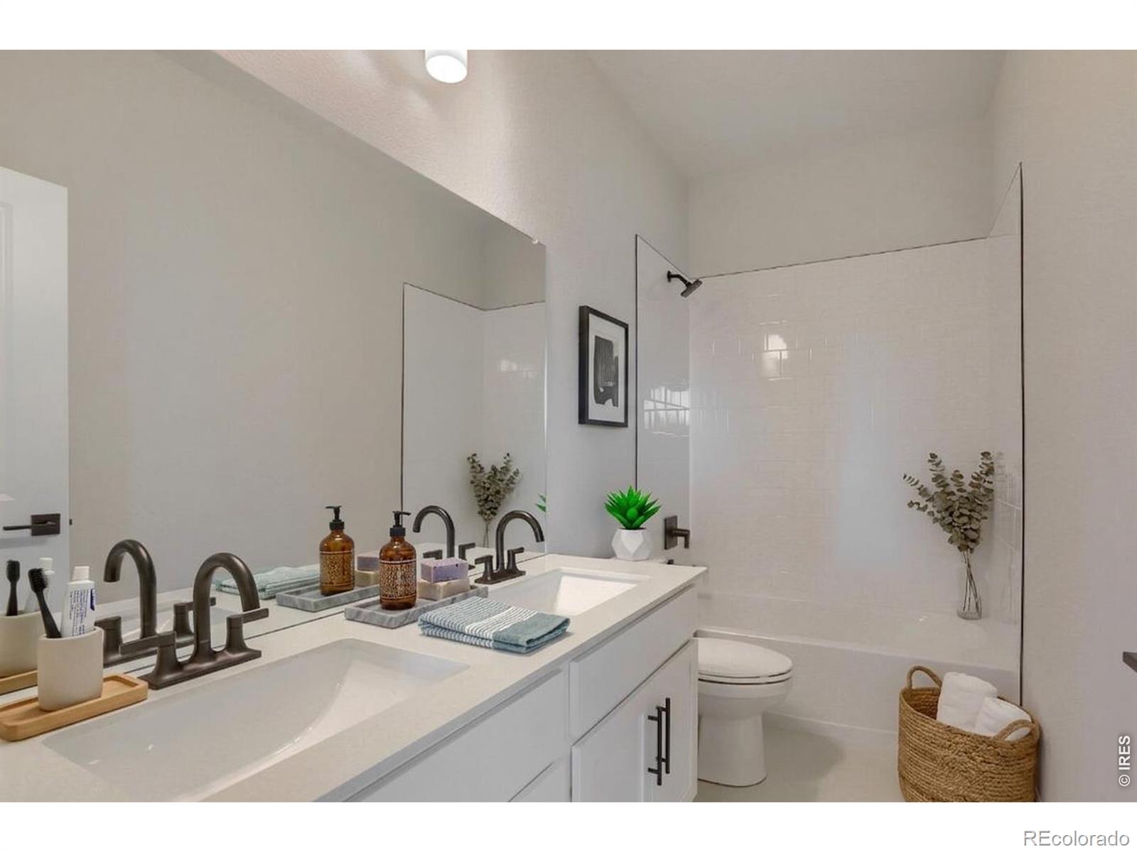 678 Noola Street Windsor CO 80550
