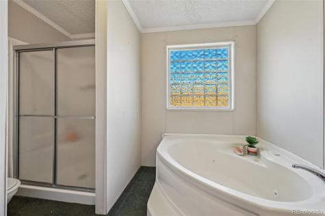 966 County Road 411 Florissant CO 80816