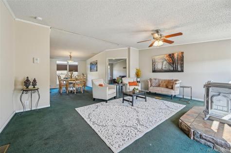 966 County Road 411 Florissant CO 80816