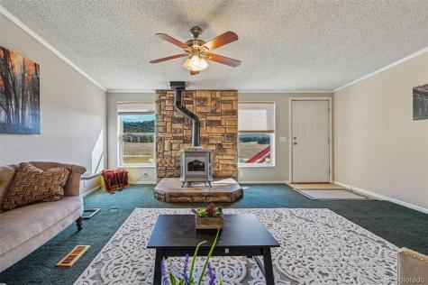 966 County Road 411 Florissant CO 80816