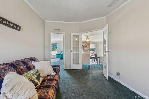 966 County Road 411 Florissant CO 80816