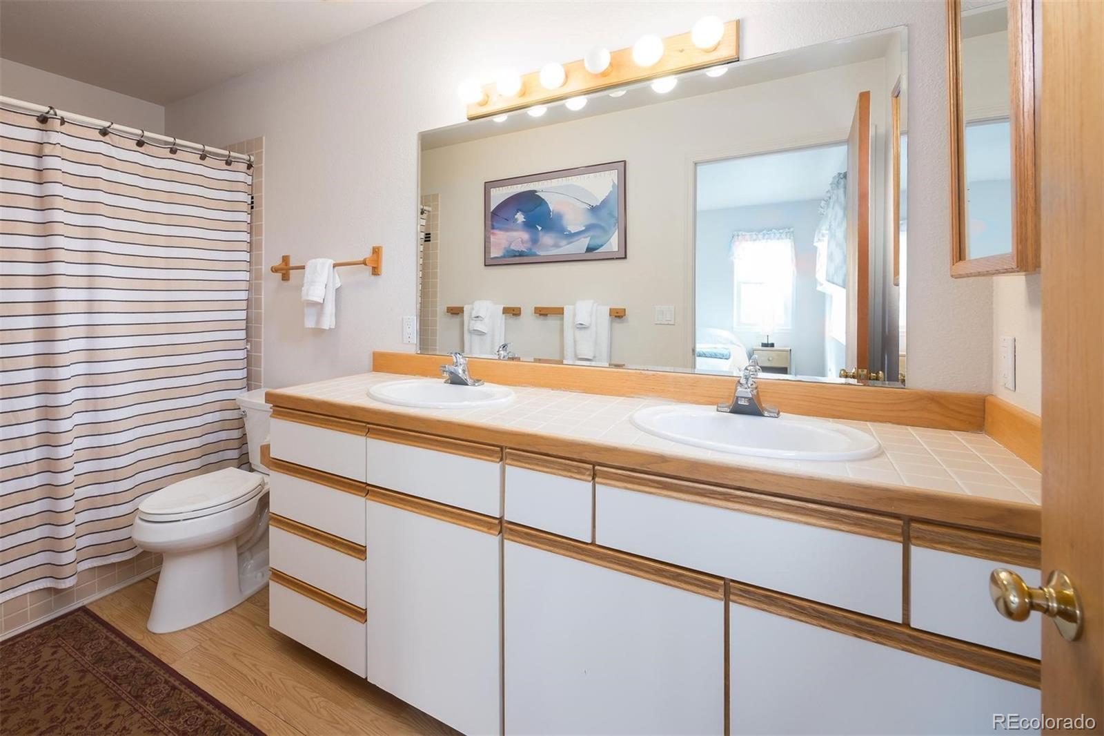 303 Willow Lake Court Silverthorne CO 80498