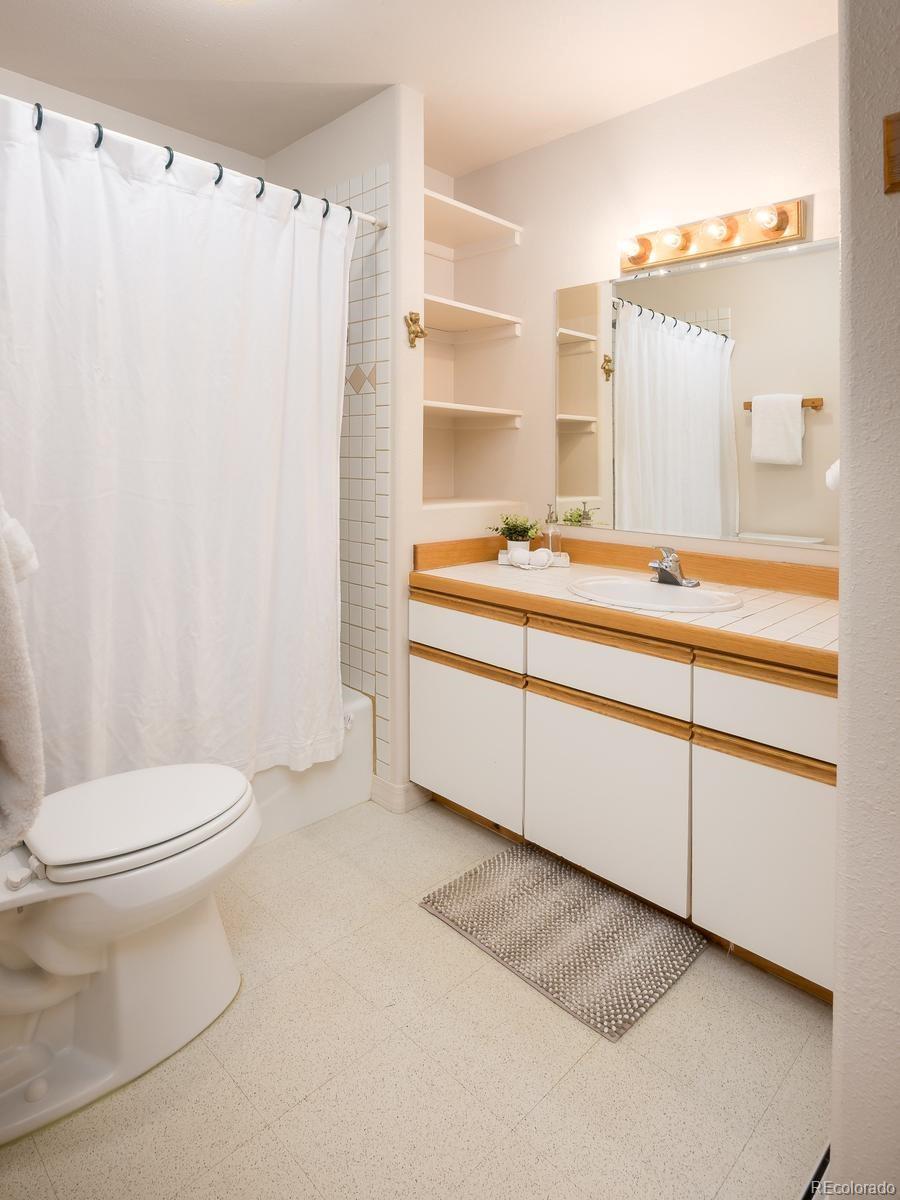 303 Willow Lake Court Silverthorne CO 80498