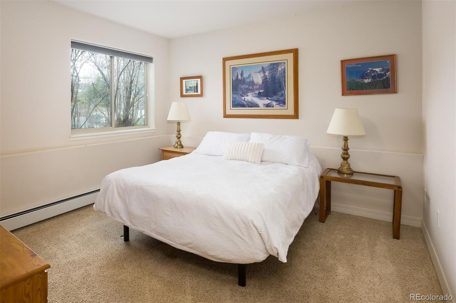 303 Willow Lake Court Silverthorne CO 80498