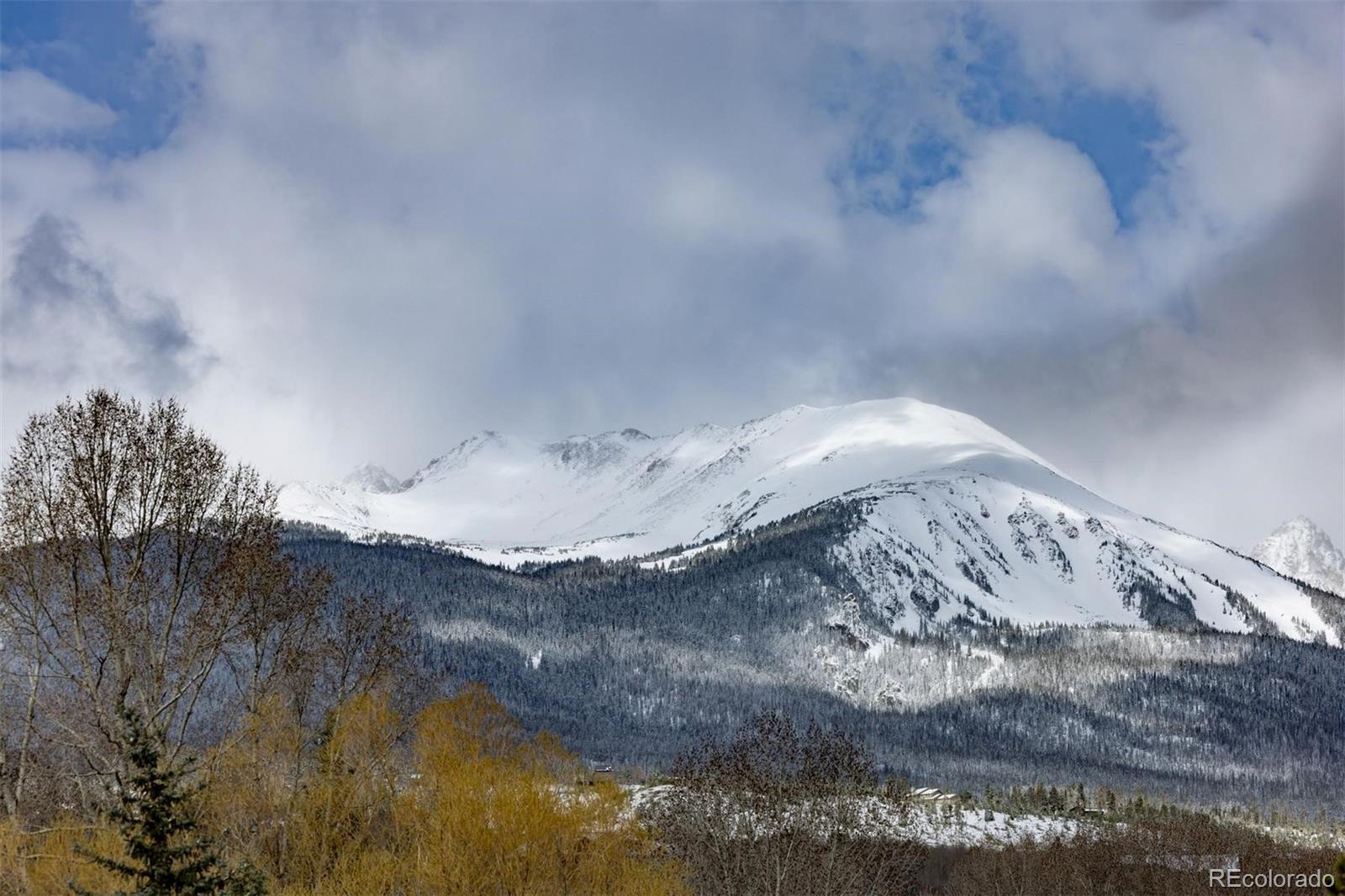 303 Willow Lake Court Silverthorne CO 80498