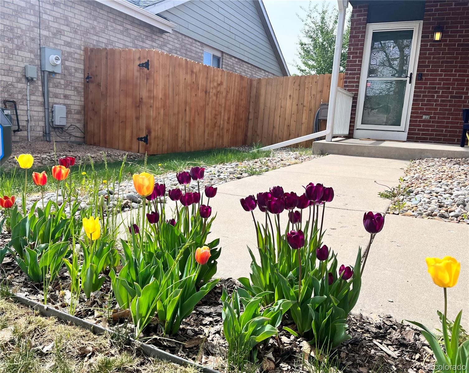 404 W 116th Avenue Northglenn CO 80234