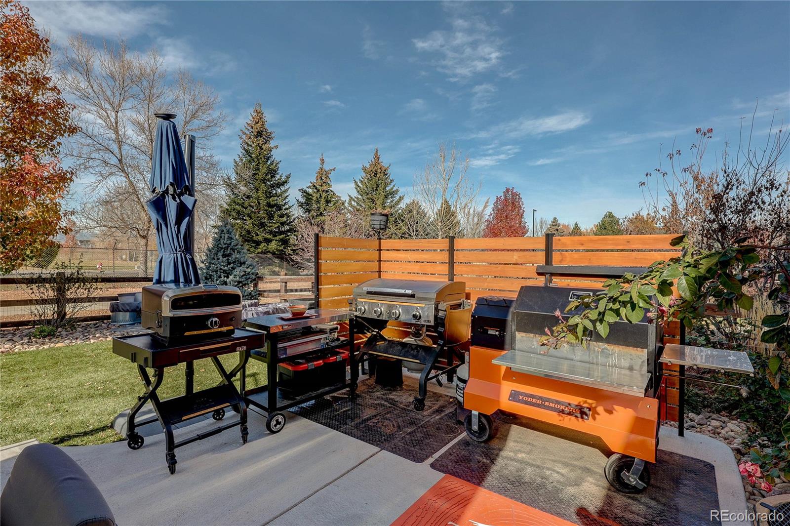 1032 Marfell Street Erie CO 80516