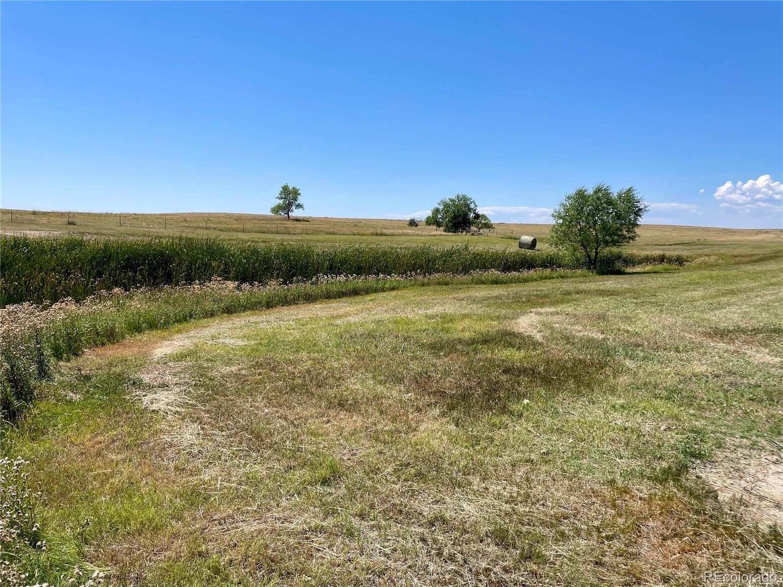 20655 County Road 101 Ramah CO 80832