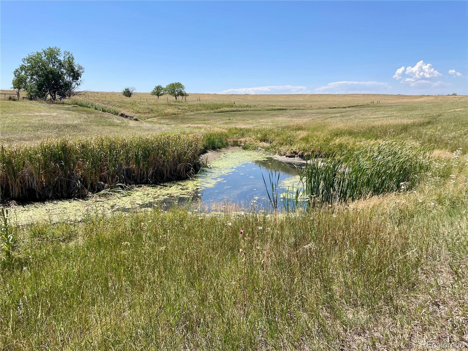 20655 County Road 101 Ramah CO 80832