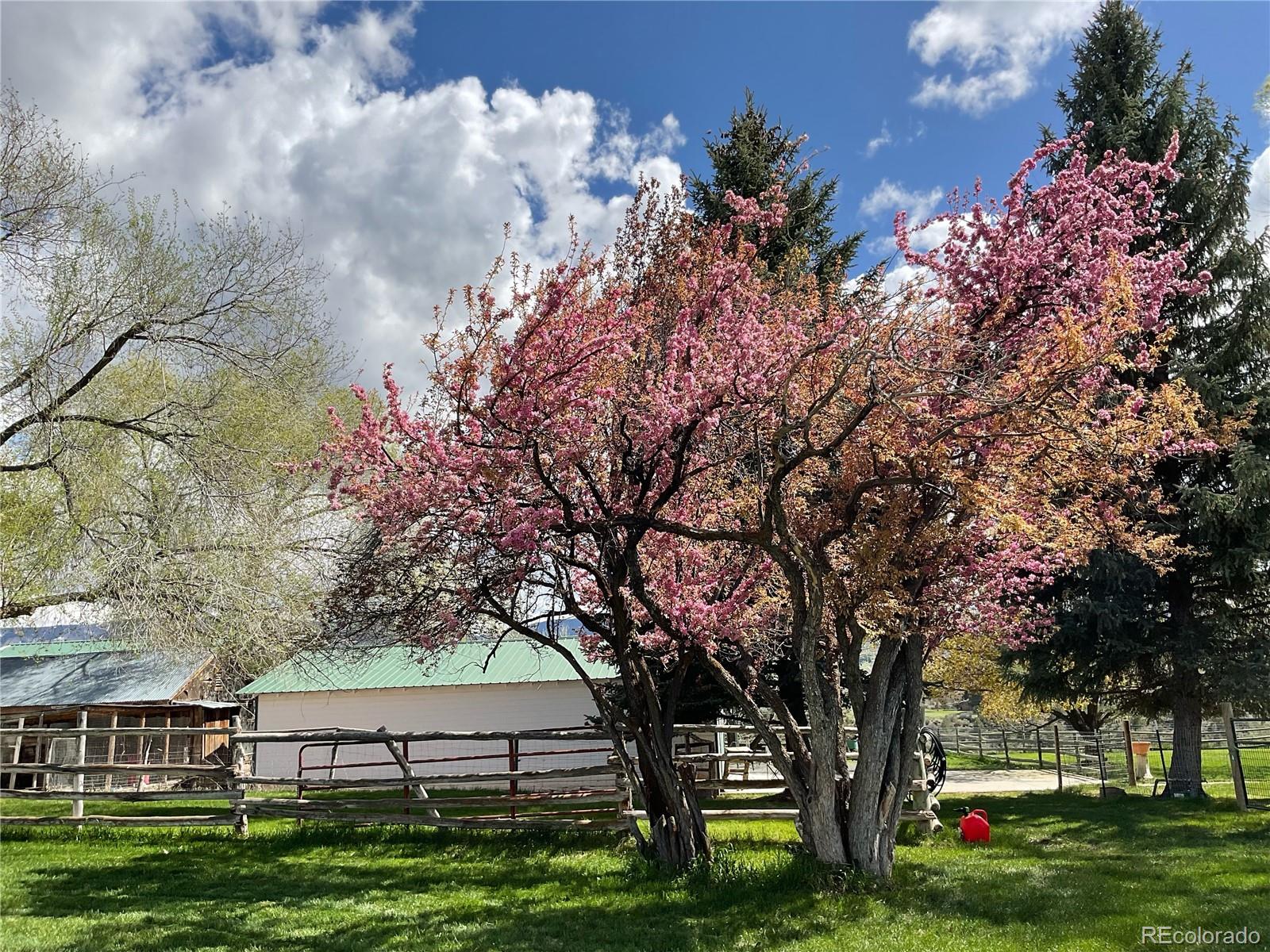58590 Pe 3/10 Road Collbran CO 81624