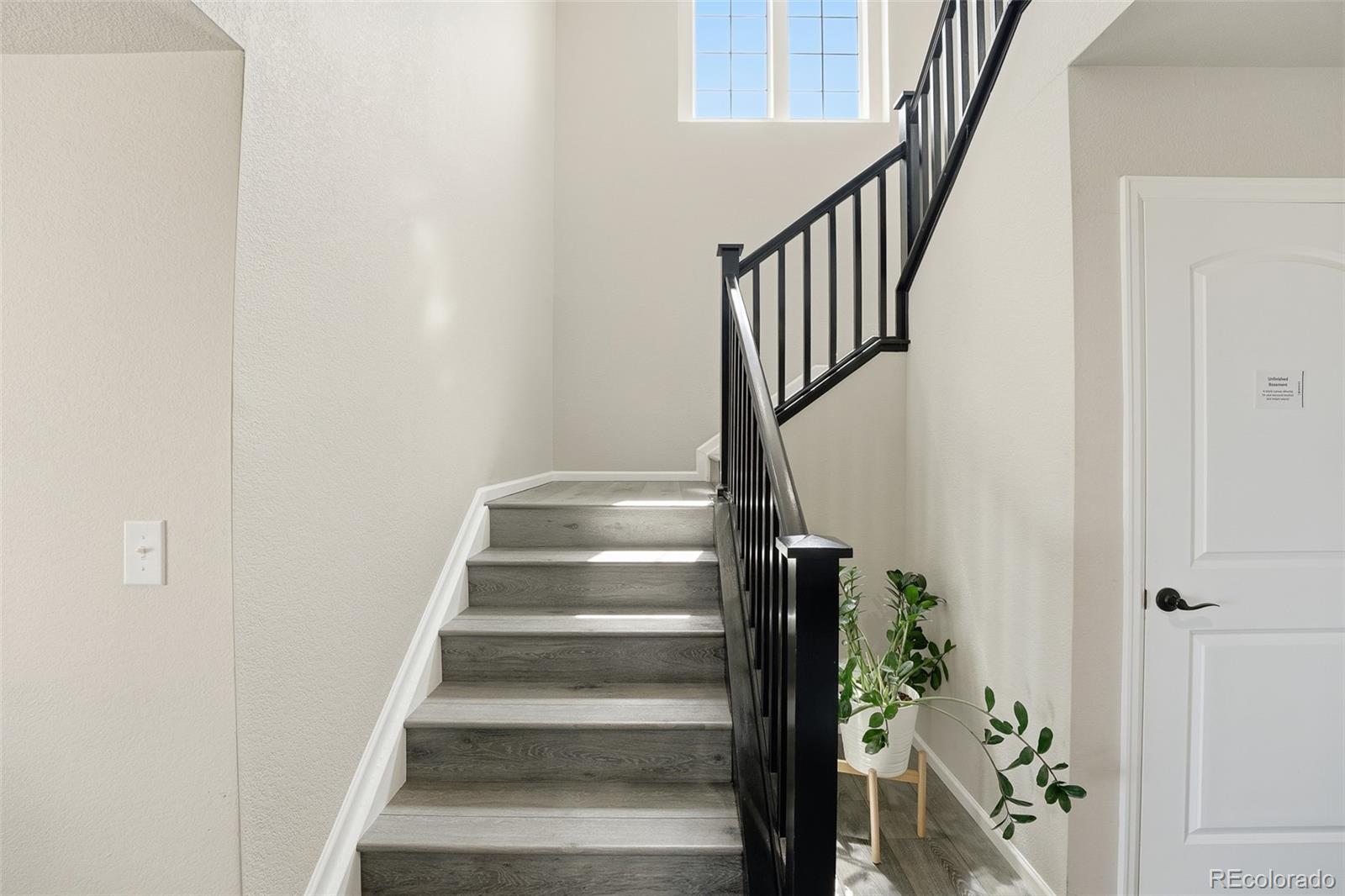 3490 Raintree Lane Dacono CO 80514