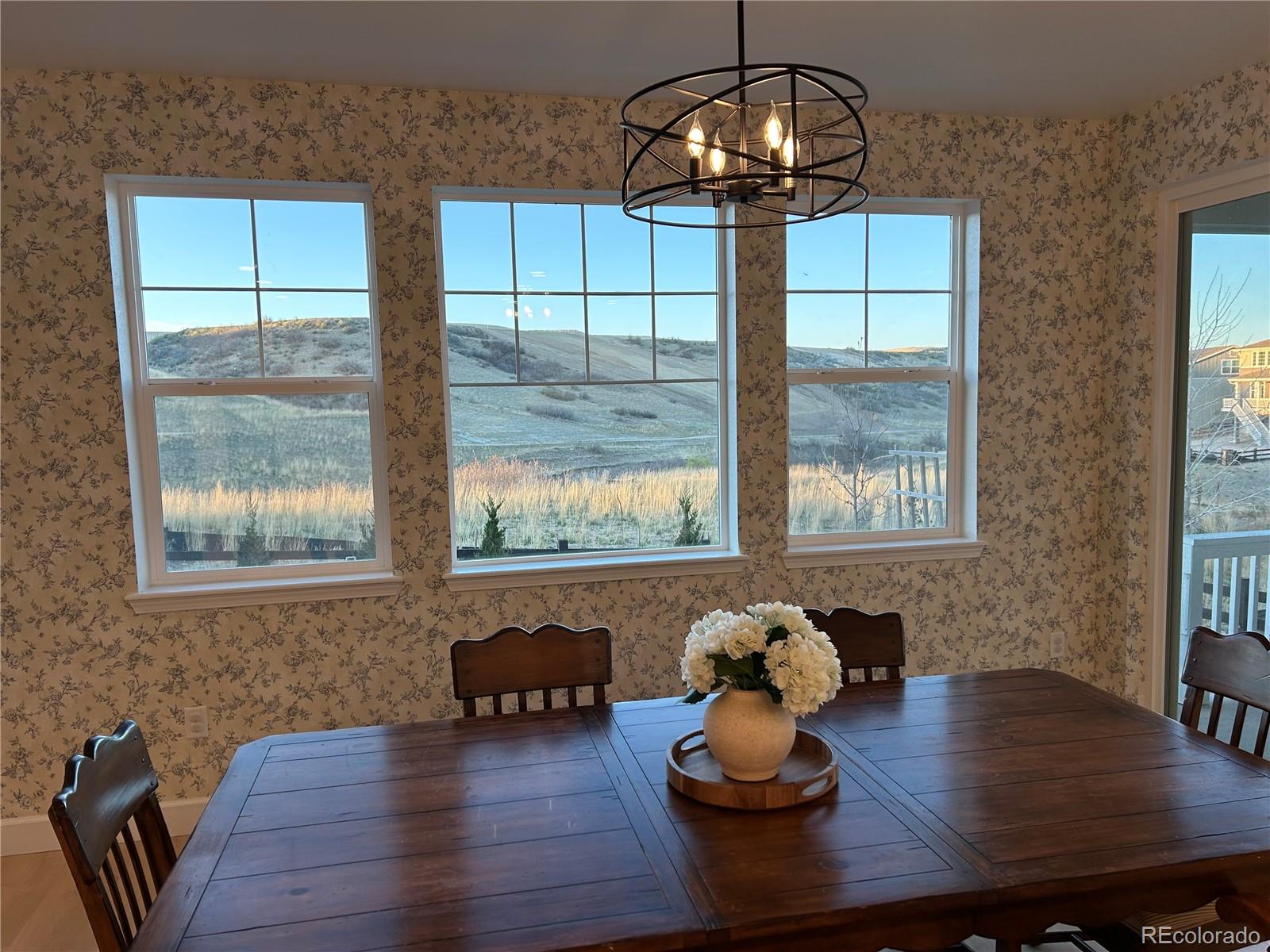 3807 Descent Street Castle Rock CO 80108