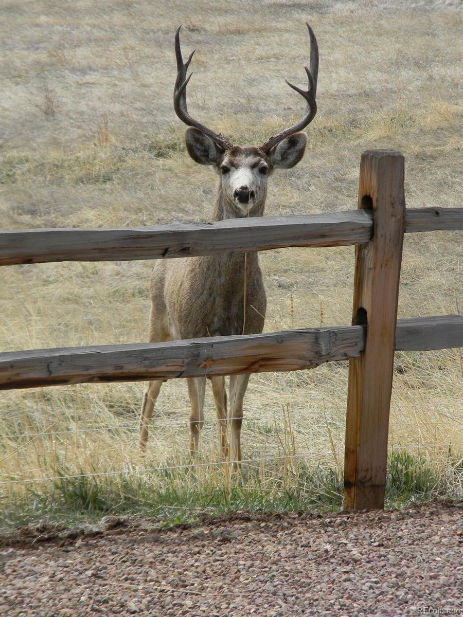 421 Terrace Trail La Veta CO 81055