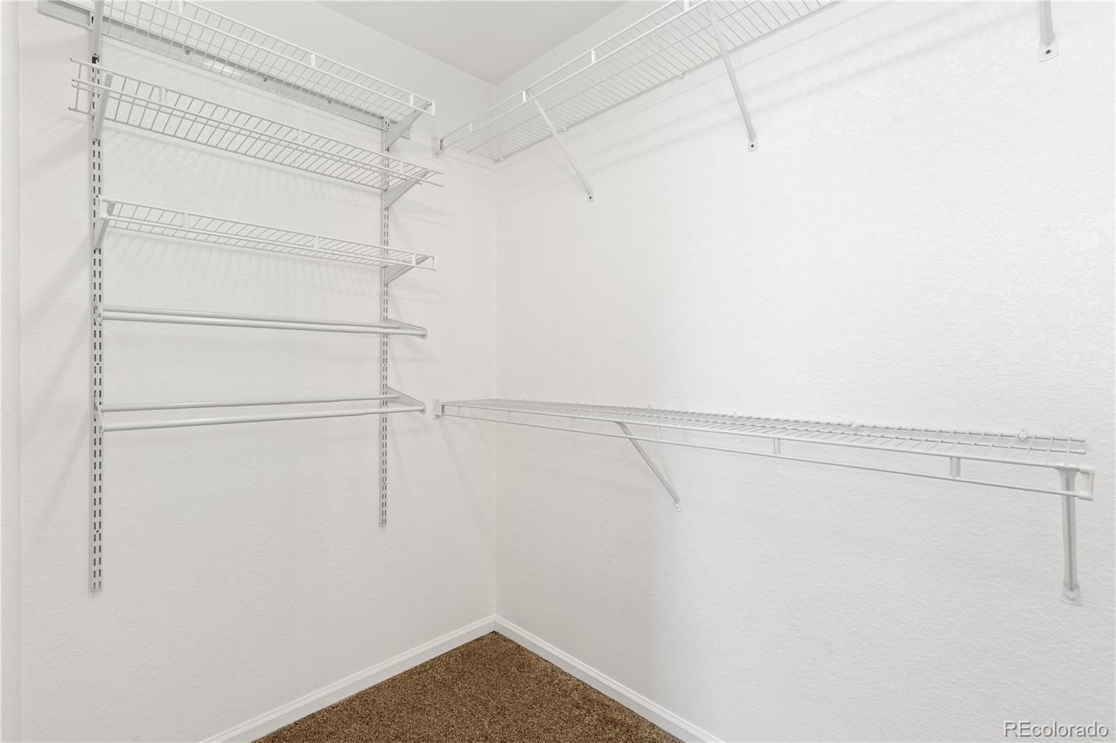 2255 Candleglow Street Castle Rock CO 80109