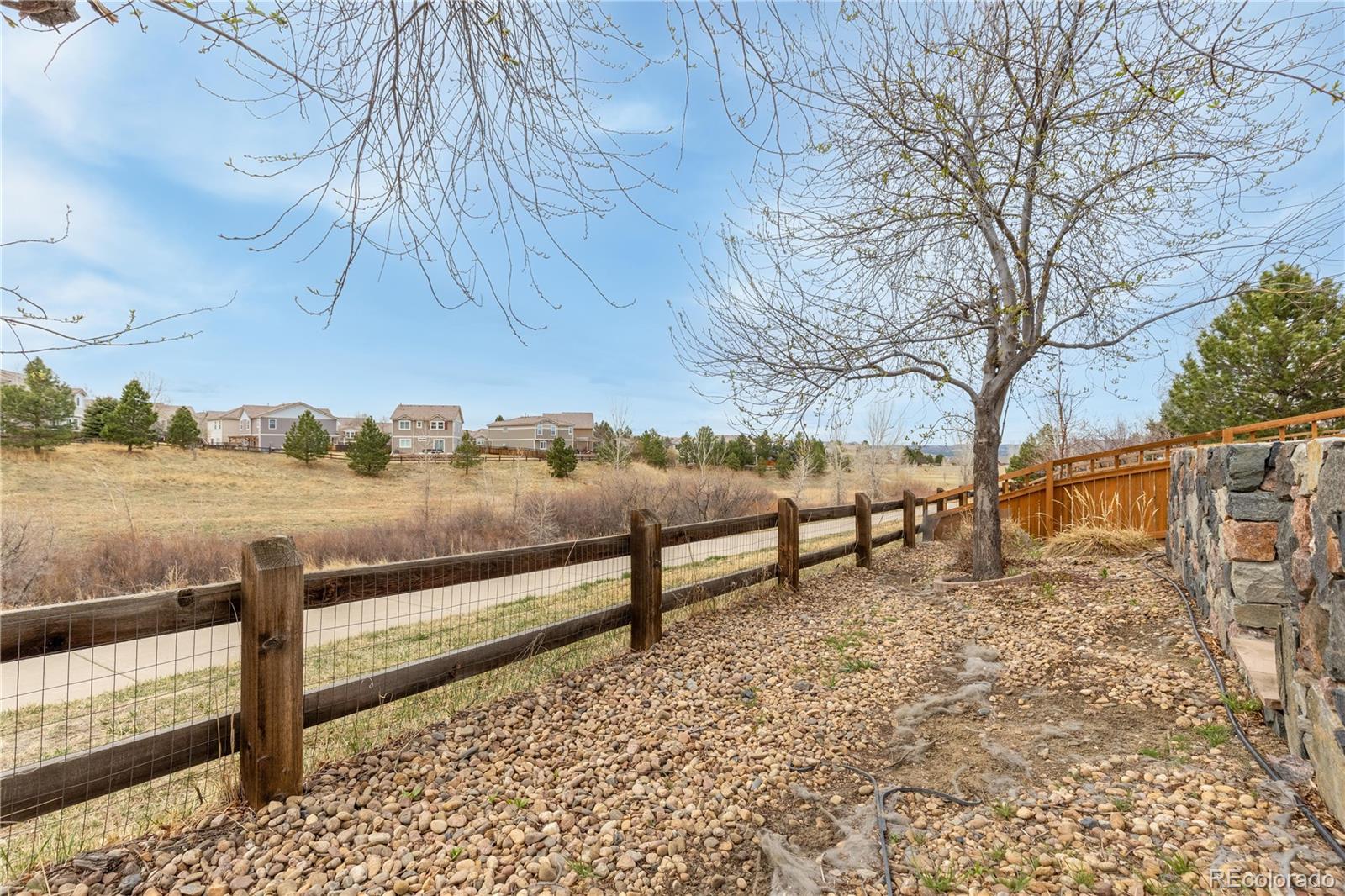 2255 Candleglow Street Castle Rock CO 80109