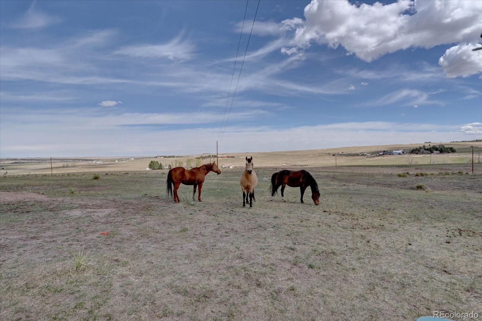 11159 Pine Meadows Drive Kiowa CO 80117