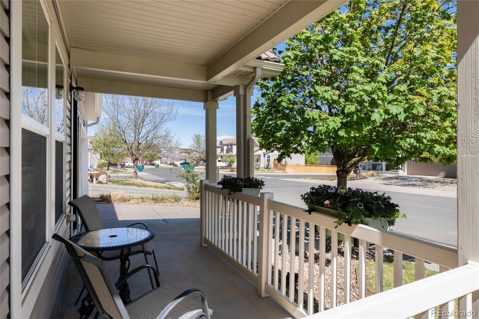 1879 Quartz Street Castle Rock CO 80109
