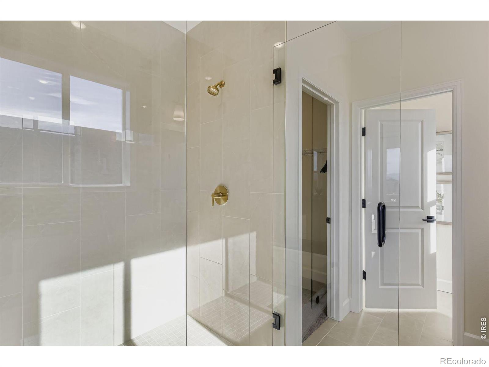 598 Noola Street Windsor CO 80550