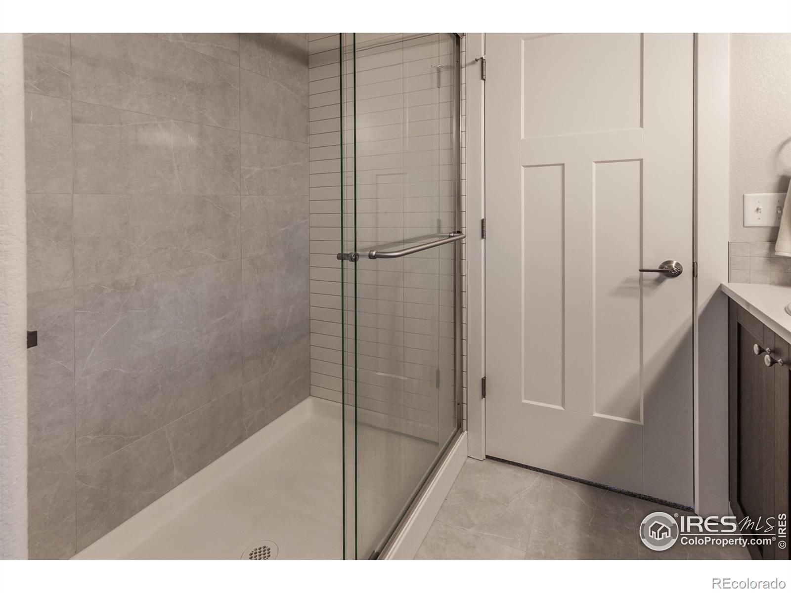 7157 Rye Grass Drive Wellington CO 80549