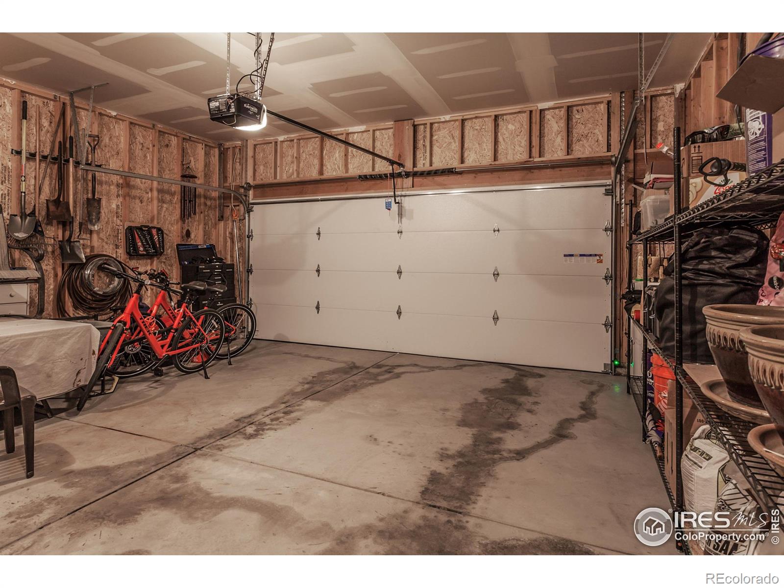 7157 Rye Grass Drive Wellington CO 80549