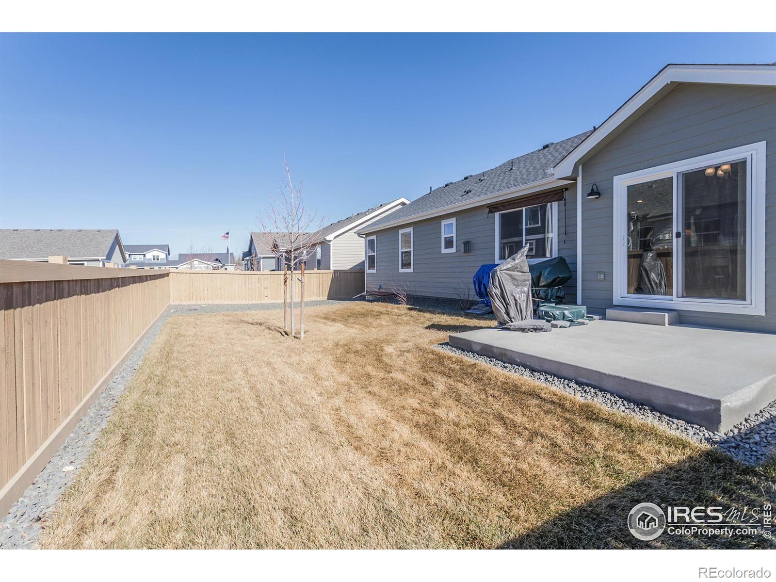 7157 Rye Grass Drive Wellington CO 80549