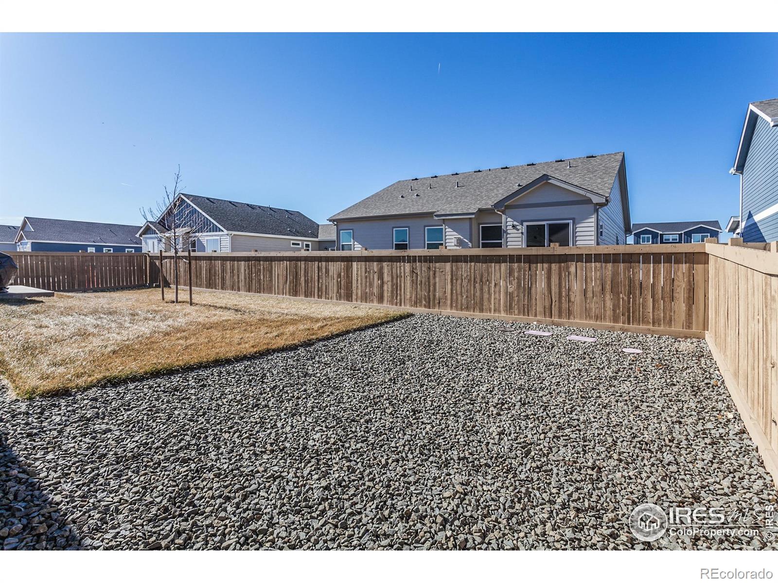 7157 Rye Grass Drive Wellington CO 80549