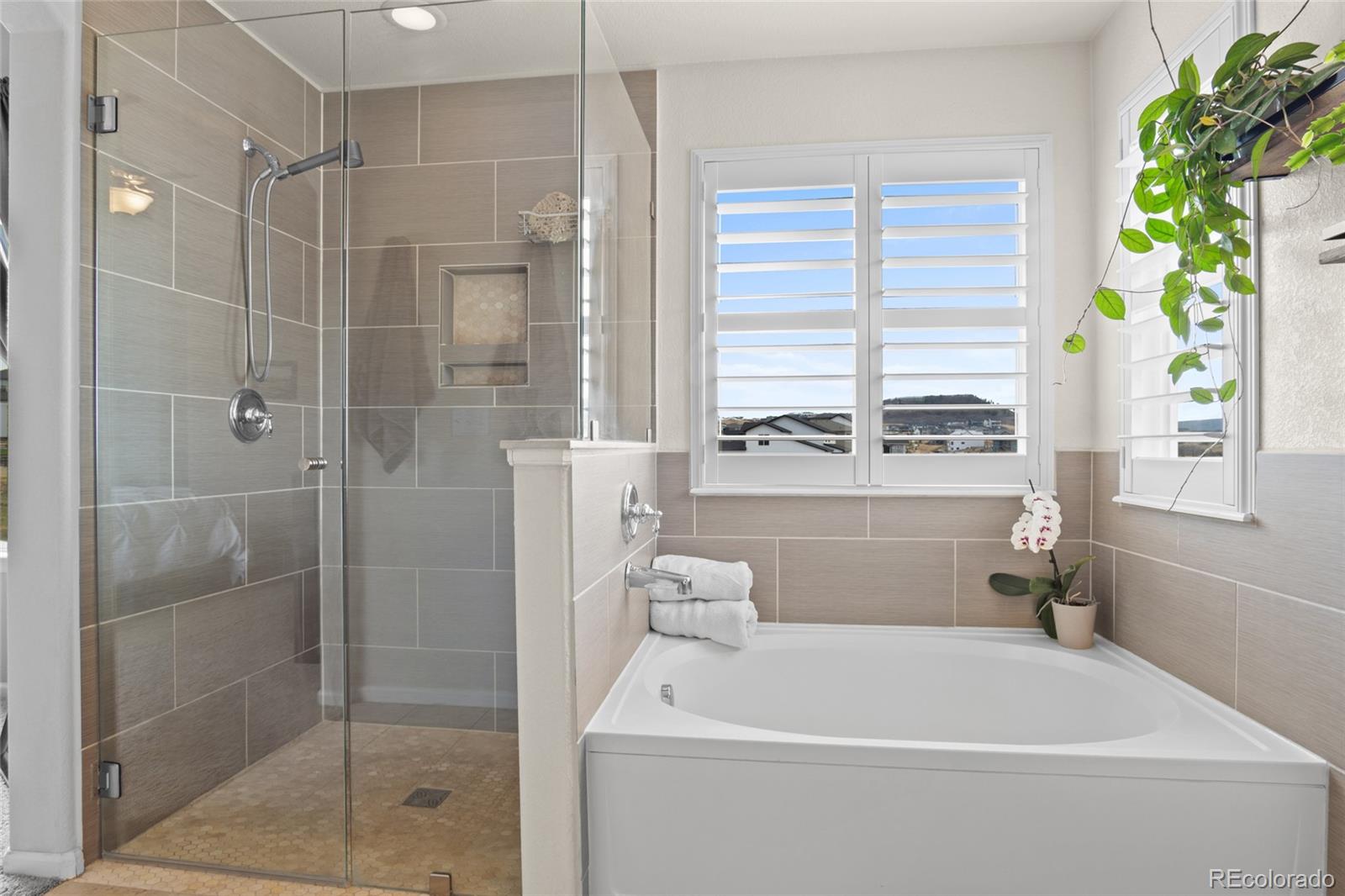 1026 Eaglestone Drive Castle Rock CO 80104