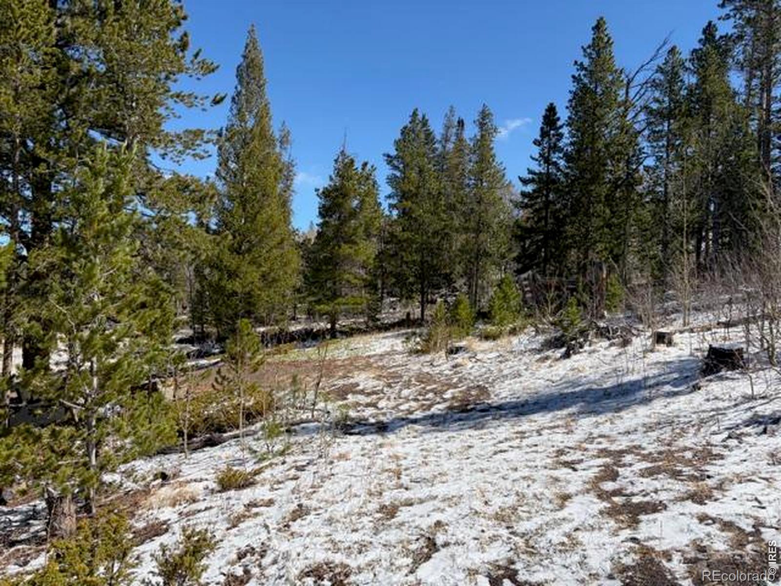 885 Pratt Creek Road Livermore CO 80536