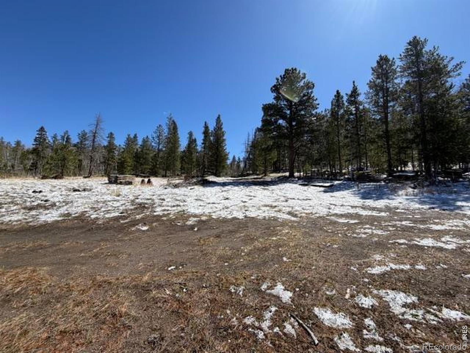 885 Pratt Creek Road Livermore CO 80536