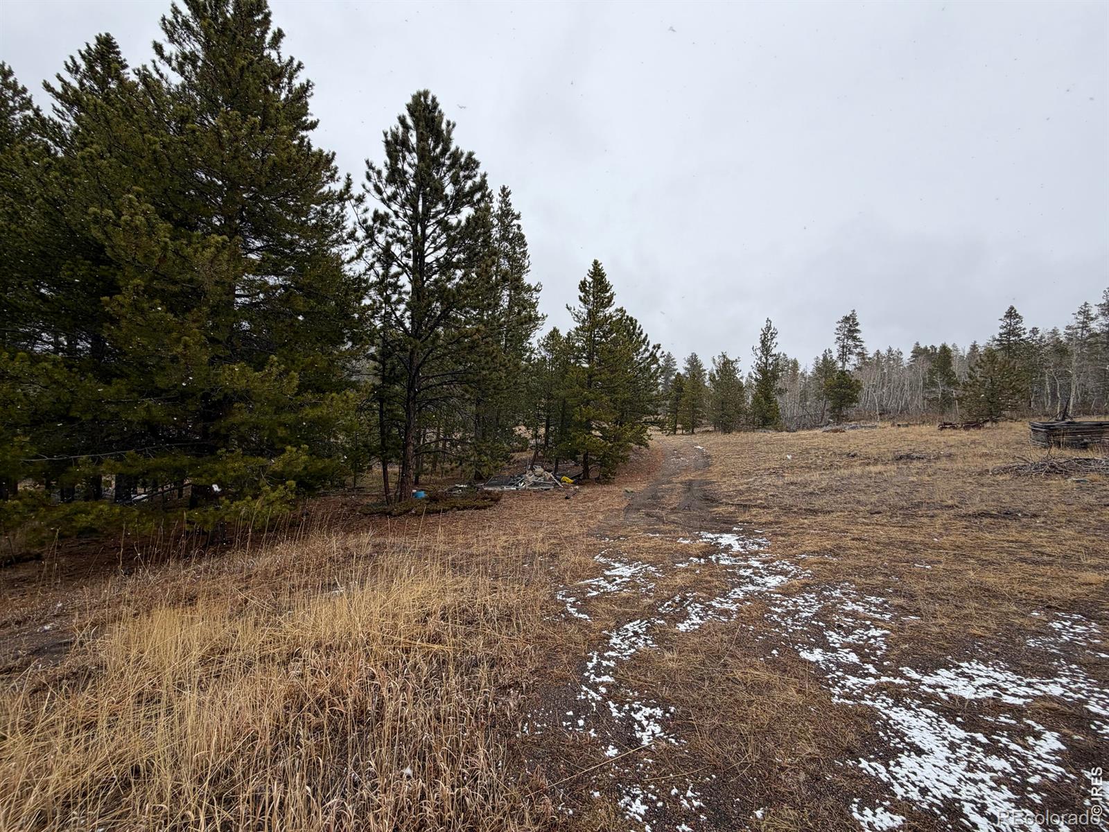 885 Pratt Creek Road Livermore CO 80536