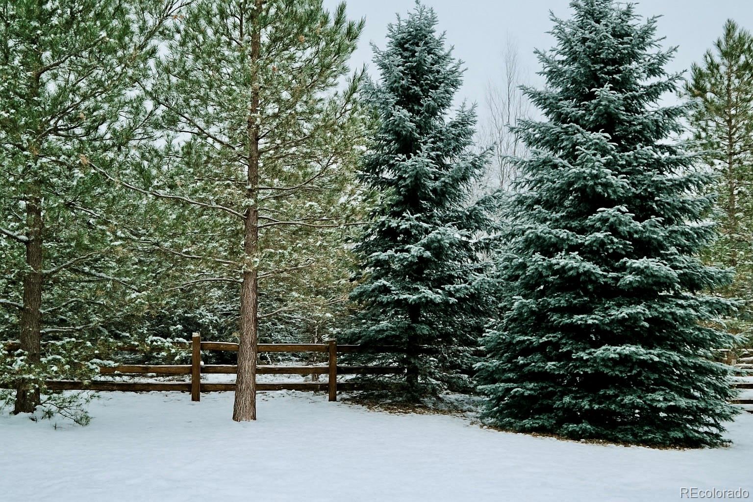 5387 Spur Cross Trail Parker CO 80134