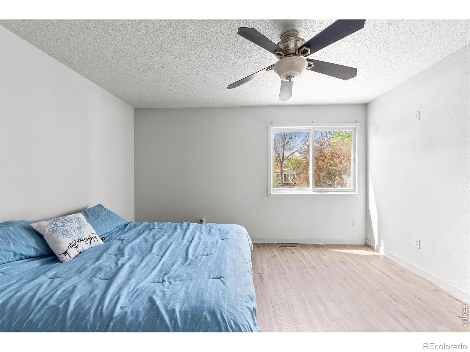 2317 42nd Ave Court Greeley CO 80634