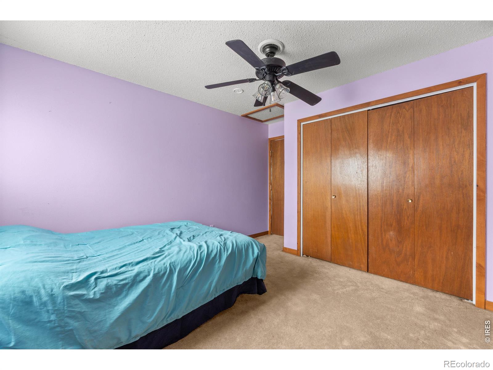 2317 42nd Ave Court Greeley CO 80634