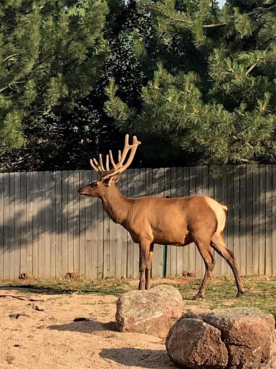 3518 Manzanita Drive Loveland CO 80537