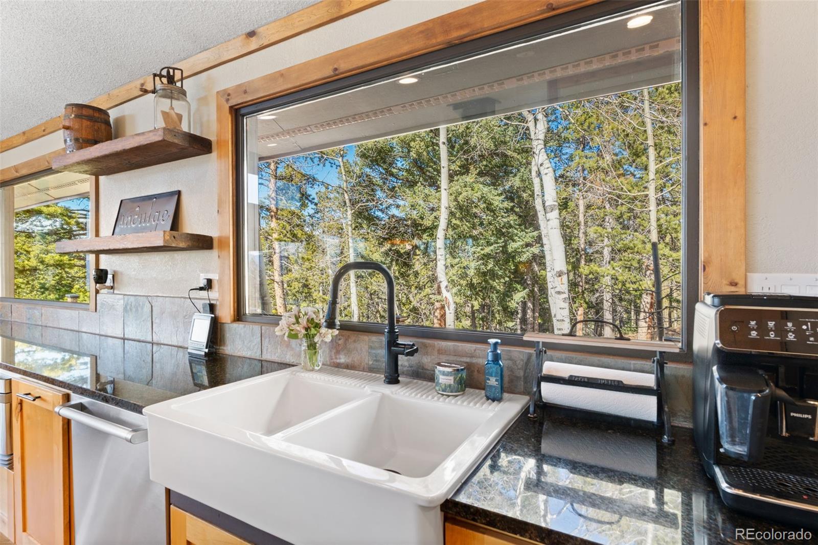 11325 Pauls Drive Conifer CO 80433