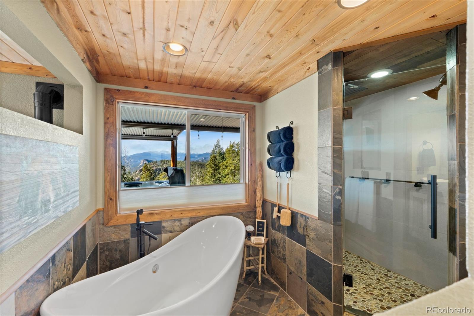 11325 Pauls Drive Conifer CO 80433