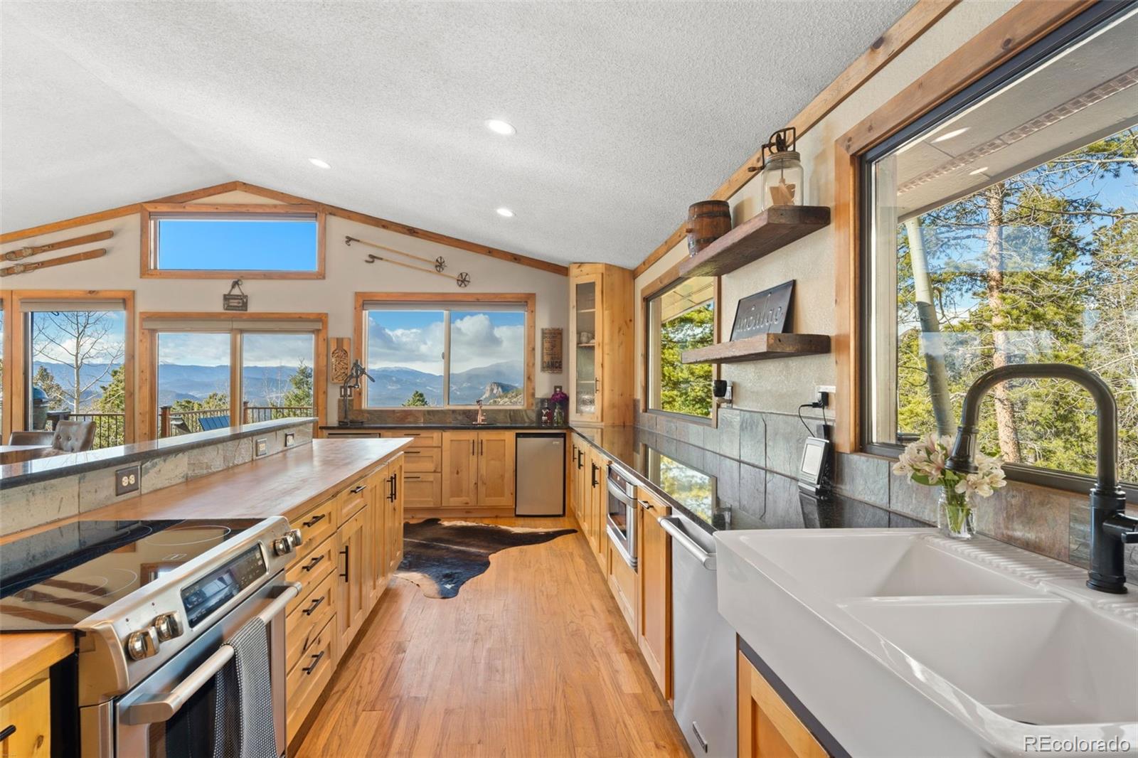 11325 Pauls Drive Conifer CO 80433