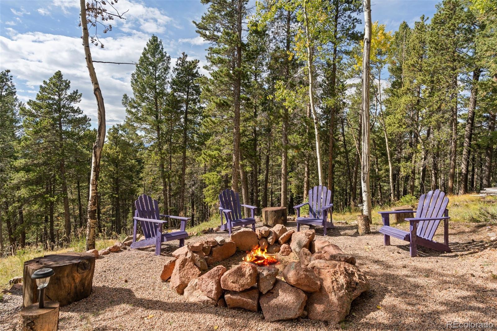 11325 Pauls Drive Conifer CO 80433