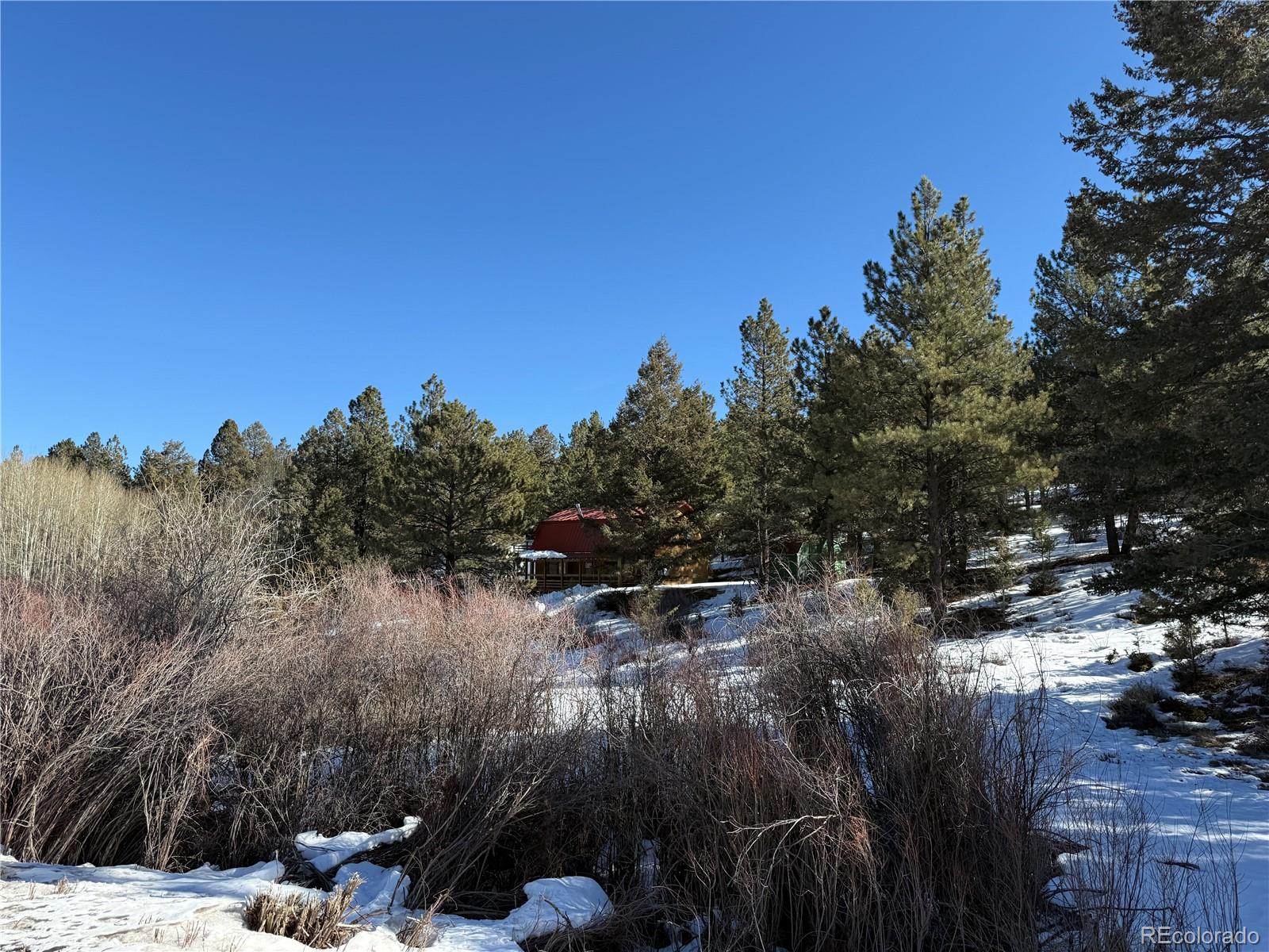 29885 County Road 46aa Villa Grove CO 81155