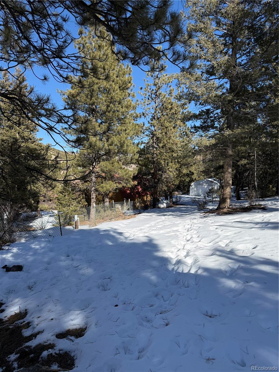 29885 County Road 46aa Villa Grove CO 81155