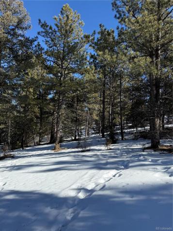 29885 County Road 46aa Villa Grove CO 81155