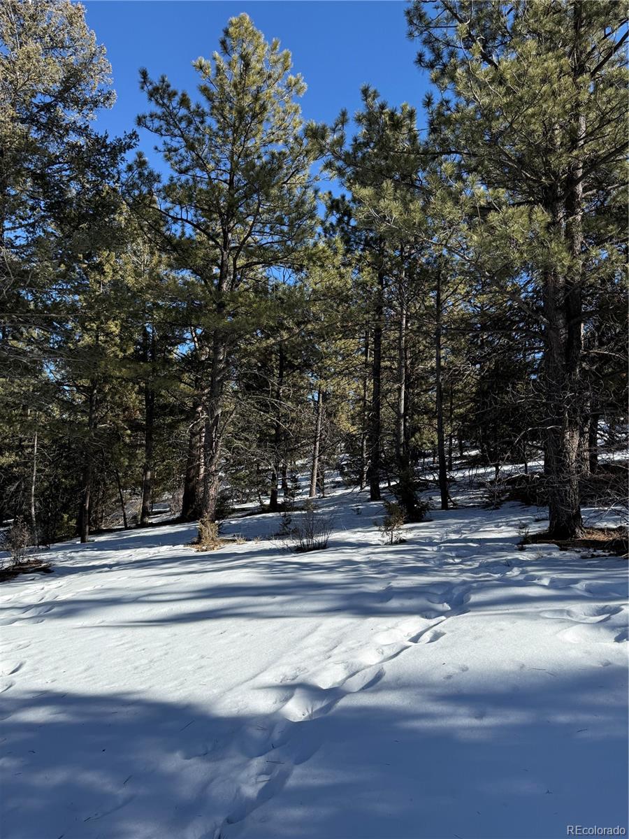 29885 County Road 46aa Villa Grove CO 81155