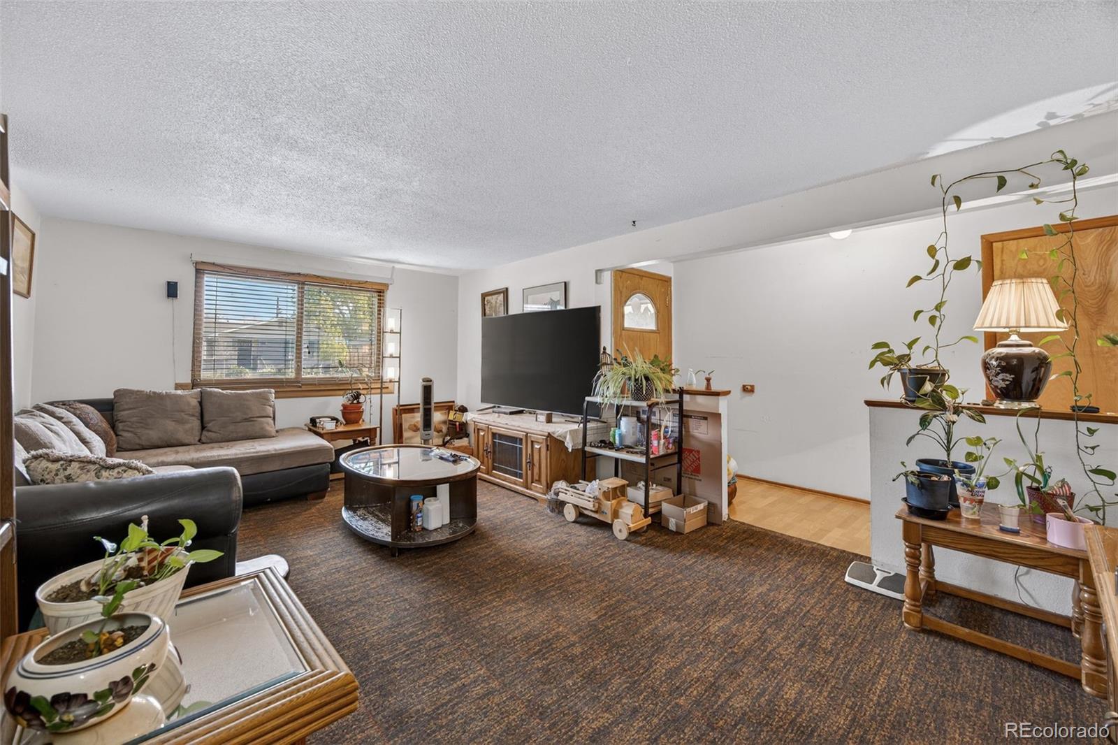 1337 Sharpe Place Longmont CO 80501