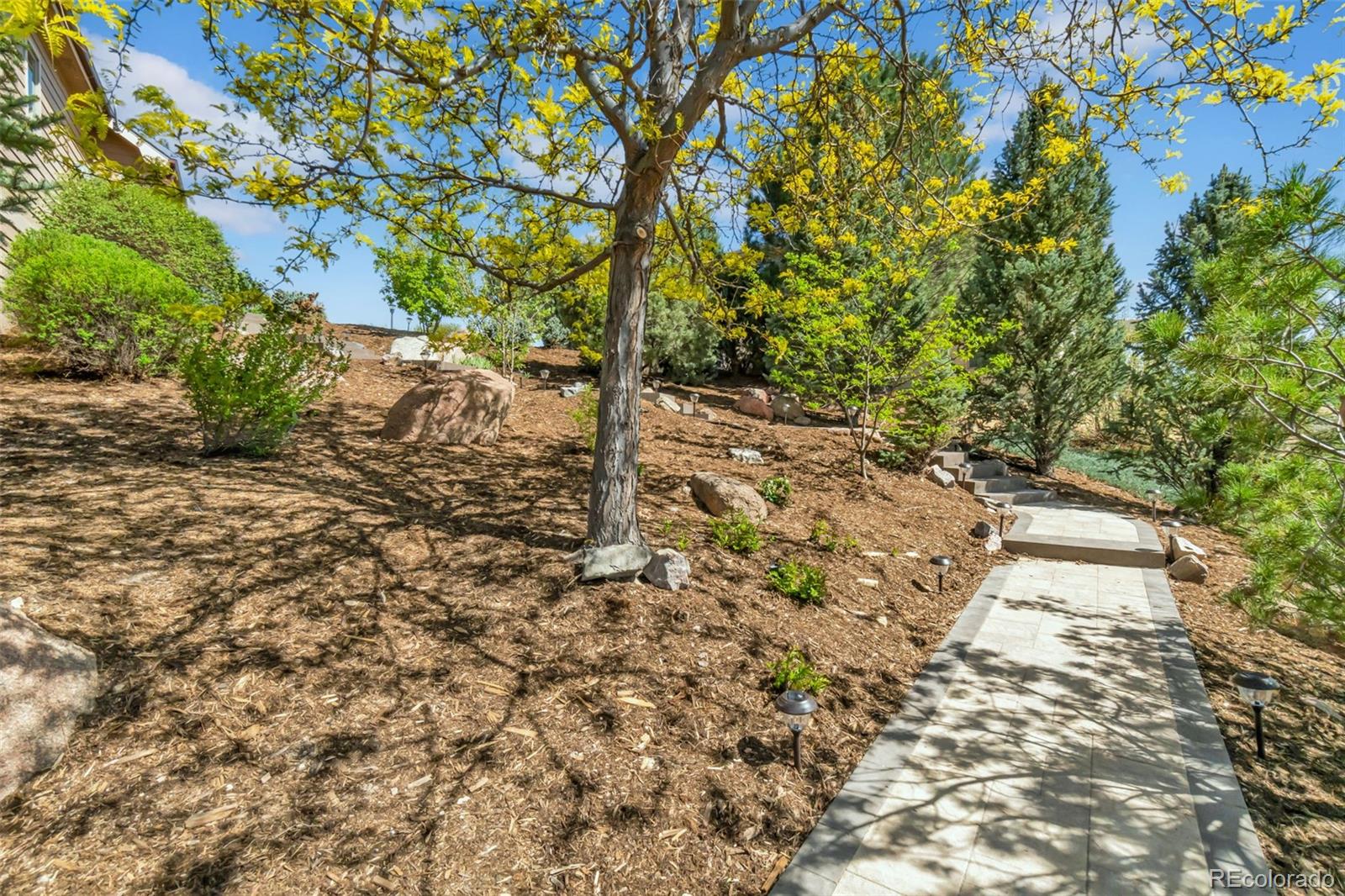 1532 Arroyo Drive Windsor CO 80550