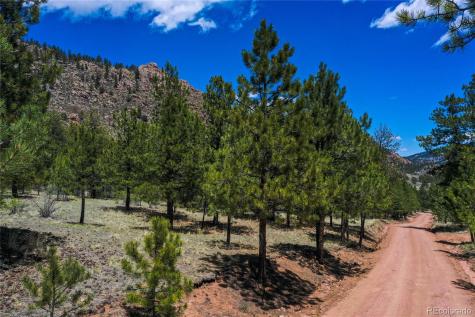 437 Langnis Road Guffey CO 80820