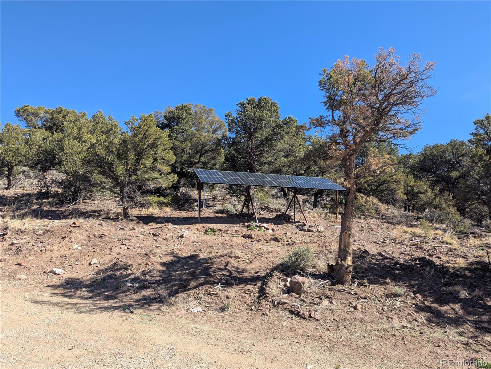 4585 Laidlaw Road Fort Garland CO 81133