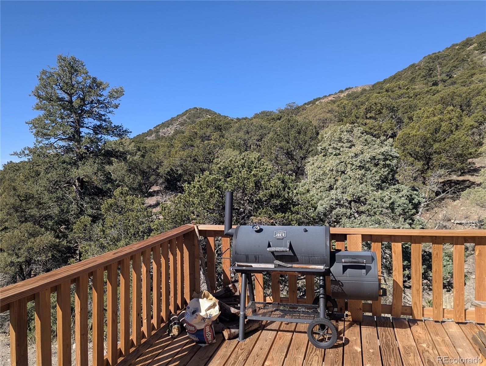 4585 Laidlaw Road Fort Garland CO 81133
