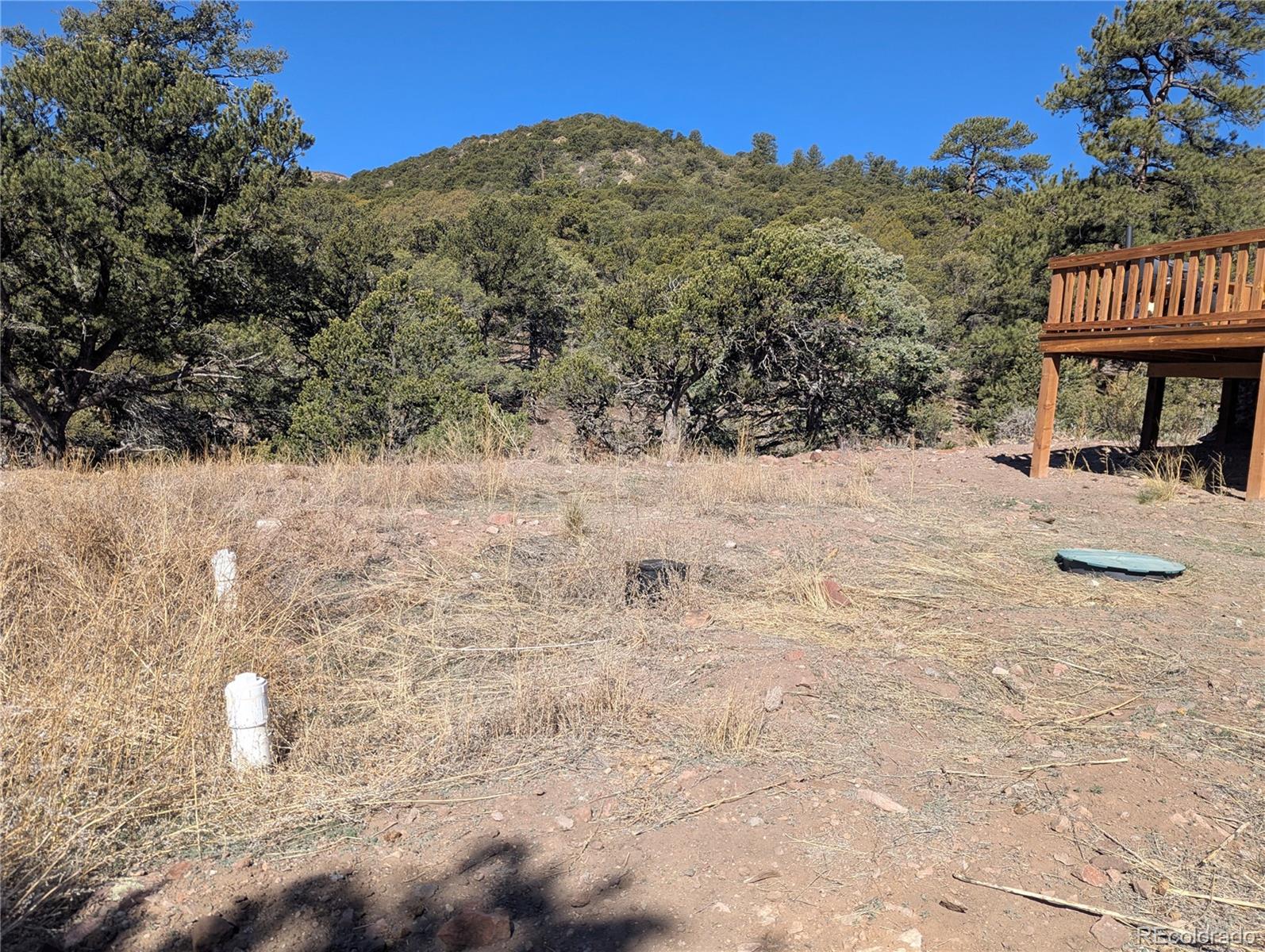 4585 Laidlaw Road Fort Garland CO 81133